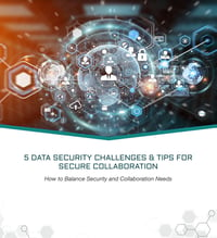 white paper 5 data security challenges